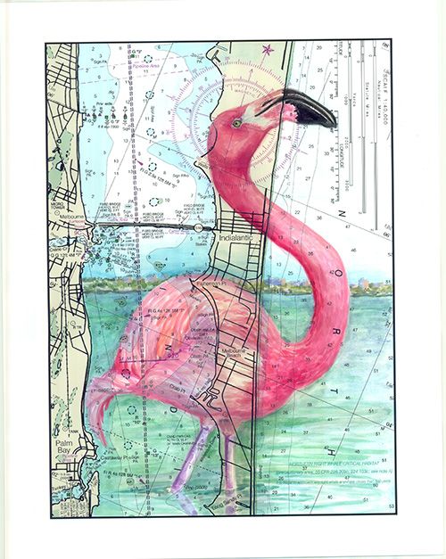Melbourne Flamingo