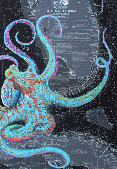 Night Octopus