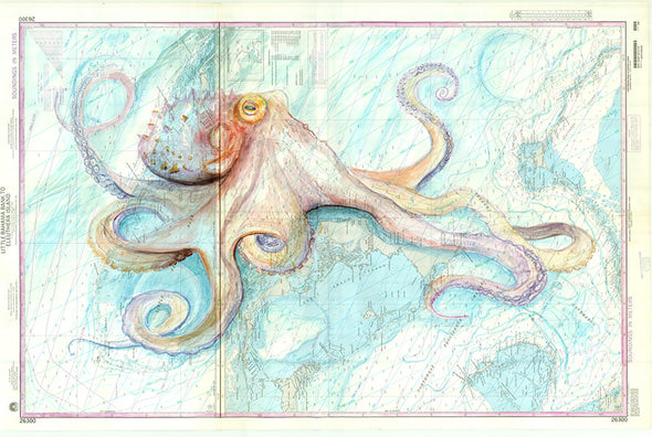 Bahamas Octopus