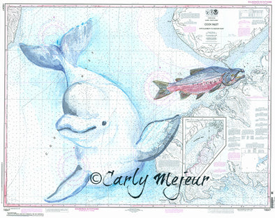 Alaska Beluga and Salmon