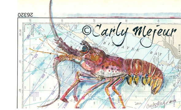 Biscayne Bay Lobster